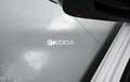 Skoda Octavia 2.0TDI Ambition 85kW Blanco - thumbnail 43