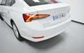 Skoda Octavia 2.0TDI Ambition 85kW Blanco - thumbnail 5