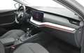 Skoda Octavia 2.0TDI Ambition 85kW Blanco - thumbnail 41
