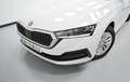 Skoda Octavia 2.0TDI Ambition 85kW Blanco - thumbnail 4
