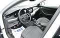 Skoda Octavia 2.0TDI Ambition 85kW Blanco - thumbnail 8