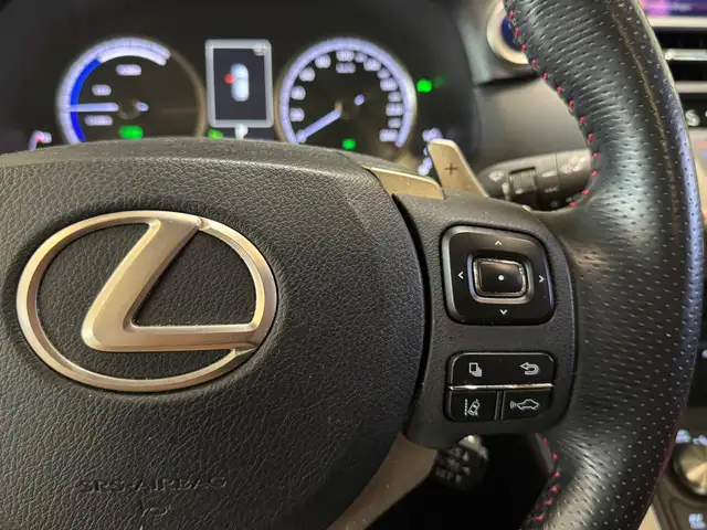 Lexus NX view 11