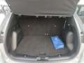 Ford Kuga FORD KUGA 2.0 ECOBLUE ST-LINE 2WD120CV AUTO 2023 - thumbnail 12