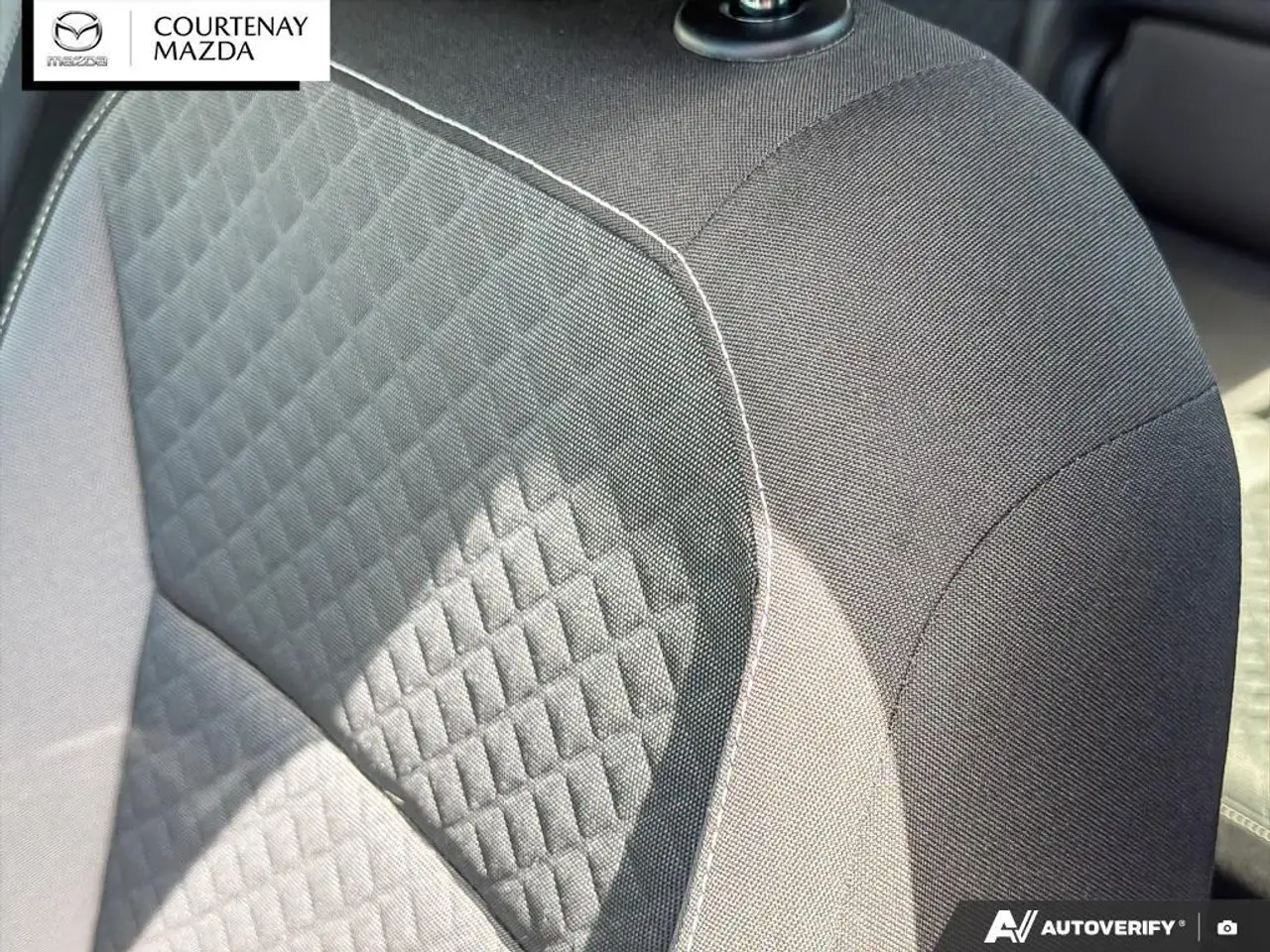 Volkswagen Tiguan fotografie Volkswagen Tiguan