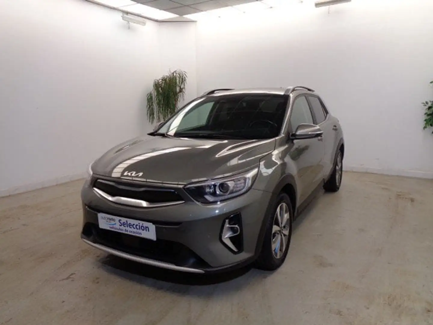 Kia Stonic 1.0 T-GDi MHEV iMT Drive Plus 100 Marrón - 1