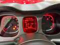 Fiat Panda Cross 1.0 Gse 51kw (70CV) 70 CV Rosso - thumbnail 13