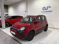 Fiat Panda Cross 1.0 Gse 51kw (70CV) 70 CV Rosso - thumbnail 4