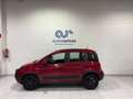 Fiat Panda Cross 1.0 Gse 51kw (70CV) 70 CV Rosso - thumbnail 5