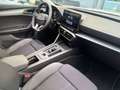 CUPRA Formentor 1.5TSI/V-Cockpit/Navi/LED/R.Kam/ACC/1H Weiß - thumbnail 14