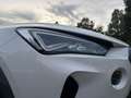 CUPRA Formentor 1.5TSI/V-Cockpit/Navi/LED/R.Kam/ACC/1H Weiß - thumbnail 11
