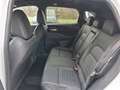 Nissan Qashqai 1,3 MHEV N-Design+ X-Tronic *ab € 37.990,-* Weiß - thumbnail 12