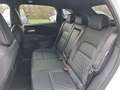 Nissan Qashqai 1,3 MHEV N-Design+ X-Tronic *ab € 36.990,-* Weiß - thumbnail 13
