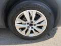 Citroen C5 Aircross C5 Aircross BlueHDI 130 S&S Shine EAT8 Aut. Grau - thumbnail 11