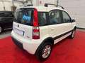 Fiat Panda 1.3 mjt 16v 4x4 NEOPATENTATI Blanc - thumbnail 4