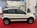 Fiat Panda 1.3 mjt 16v 4x4 NEOPATENTATI Blanc - thumbnail 14