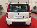 Fiat Panda 1.3 mjt 16v 4x4 NEOPATENTATI Blanc - thumbnail 5