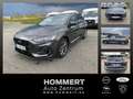 Ford Focus Turnier 1.0 EcoBoost ACC+LED+SHZ+Kamera Grau - thumbnail 1