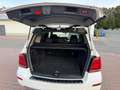 Mercedes-Benz GLK 220 cdi (be) Sport 4matic auto my12 - thumbnail 4