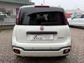 Fiat Panda Panda 1.0 FireFly S&S Hybrid Pandina Blanc - thumbnail 3