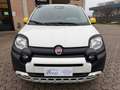 Fiat Panda Panda 1.0 FireFly S&S Hybrid Pandina Blanc - thumbnail 6