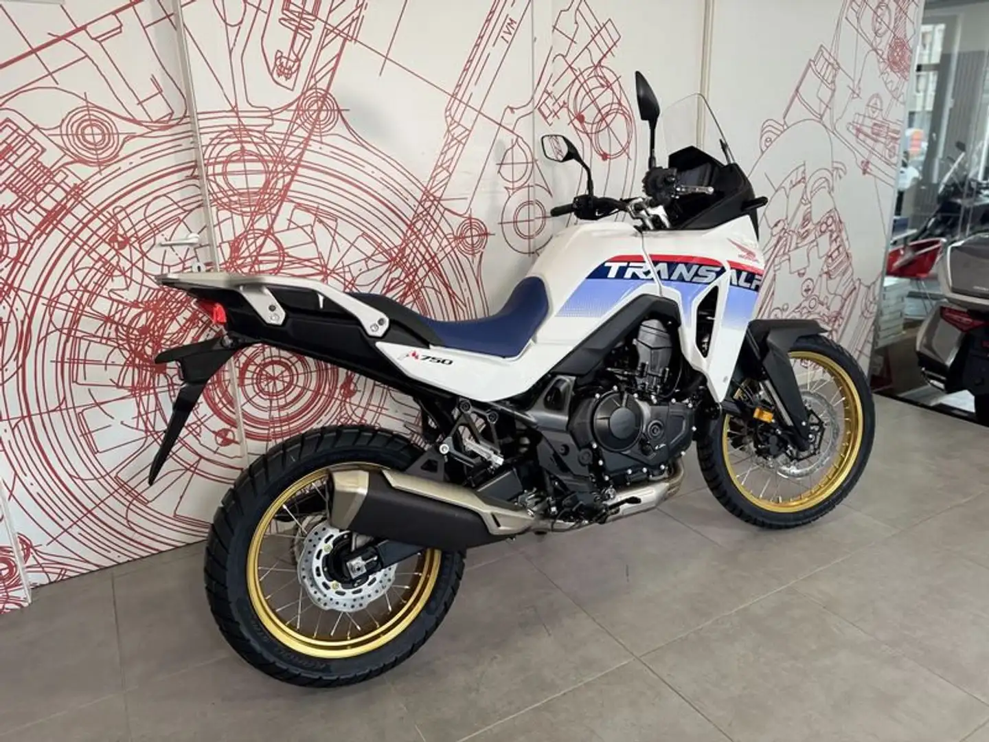 Honda XL 750 Transalp XL 750 Transalp - Model Year 2025 - Ross White - 2