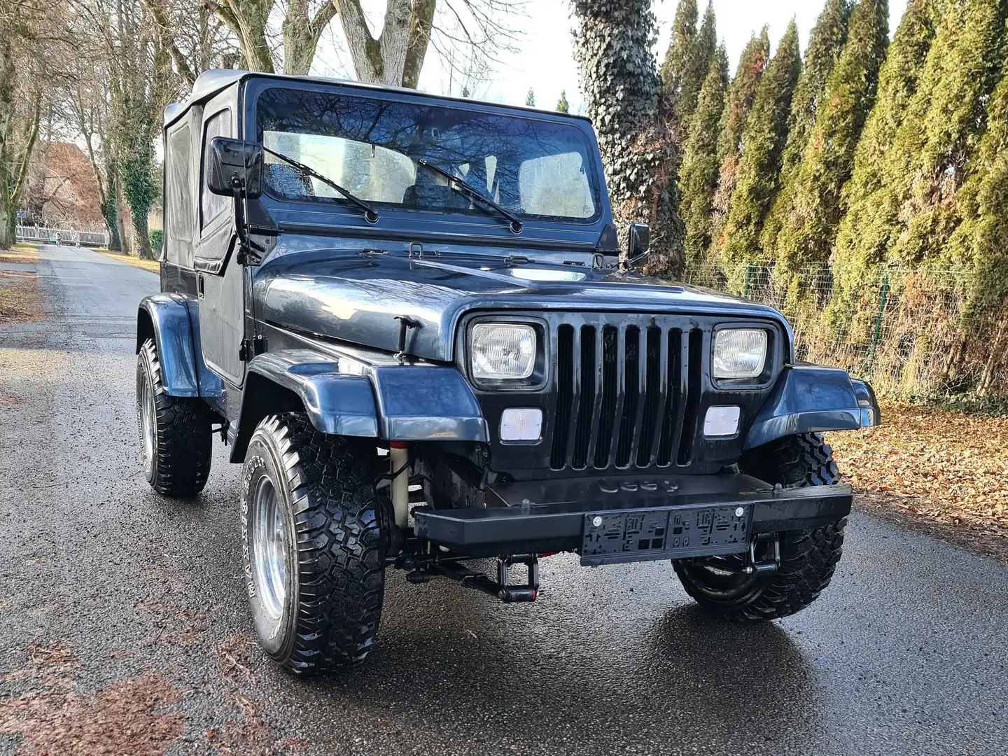 Jeep Wrangler YJ 4.2l Sport Azul - 1