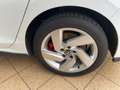 Volkswagen Golf GTE GTE Weiß - thumbnail 11