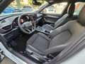 CUPRA Formentor 2.0 TDI 4Drive 150cv DSG Bianco - thumbnail 7