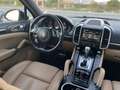 Porsche Cayenne Diesel Platinum Edition Aut. Negro - thumbnail 8