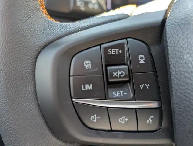 Ford Ranger Ranger Wildtrak 2,0 205PS Diesel Aut. TRAILMAST... Ansicht 22