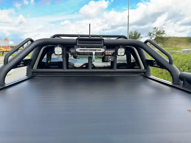 Ford Ranger Ranger Wildtrak 2,0 205PS Diesel Aut. TRAILMAST... Ansicht 15