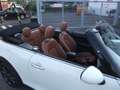 MINI Cooper Cabrio Cooper LEDER, NAVI, KLIMA, SITZHEIZUNG Beige - thumbnail 16