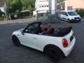 MINI Cooper Cabrio Cooper LEDER, NAVI, KLIMA, SITZHEIZUNG Bej - thumbnail 13