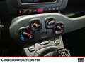 Fiat Panda 1.0 firefly hybrid s&s 70cv - thumbnail 13