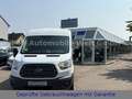 Ford Transit Kombi 330 L2 Trend*ROLLSTUHL*KRANKENLIEG Weiß - thumbnail 14