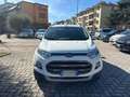 Ford EcoSport EcoSport 2014 1.5 tdci Titanium S 95cv Bianco - thumbnail 2