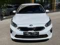 Kia Ceed / cee'd Ceed 1.6 CRDI Silber Navi Kamera Sitzheizung PD... Weiß - thumbnail 8