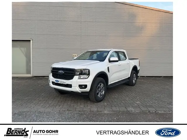 Ford Ranger 2,0 l EcoBlue Doppelkabine XLT (P703/2AB)