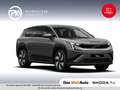 Skoda Peaq Selection 90x Grau - thumbnail 1