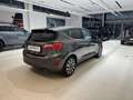 Ford Fiesta Fiesta 1.1 75 CV GPL 5 porte Titanium Grigio - thumbnail 5