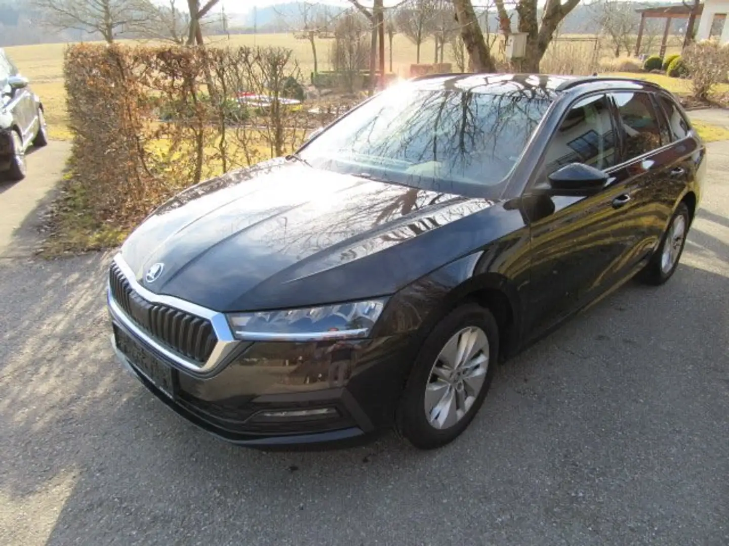 Skoda Octavia Ambition Schwarz - 1