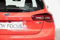 Ford Focus 1.0 ECOBOOST 92KW ST-LINE 125 5P Rojo - thumbnail 12