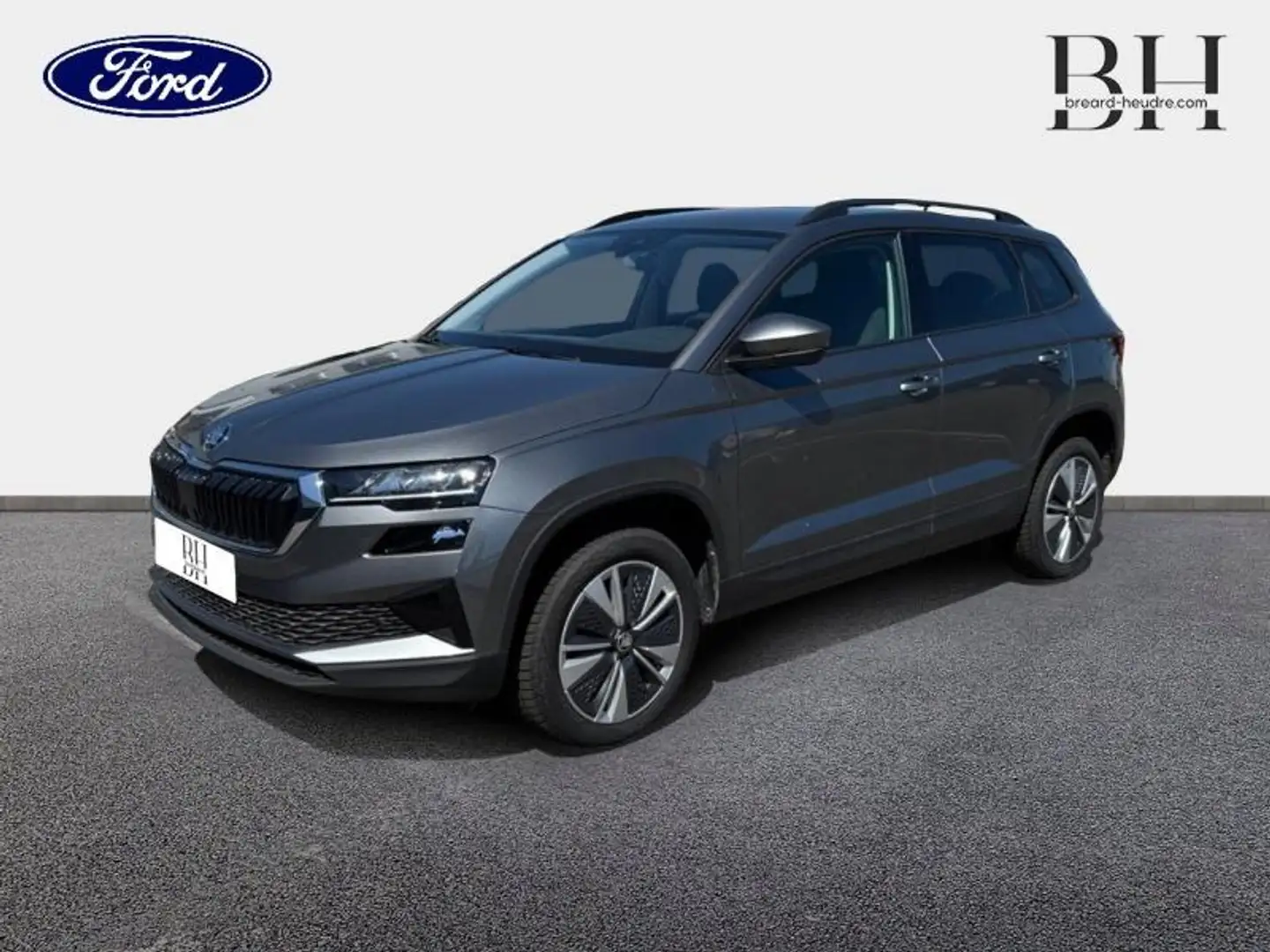 Skoda Karoq 2.0 TDI 116ch SCR Business DSG7 Gris - 1