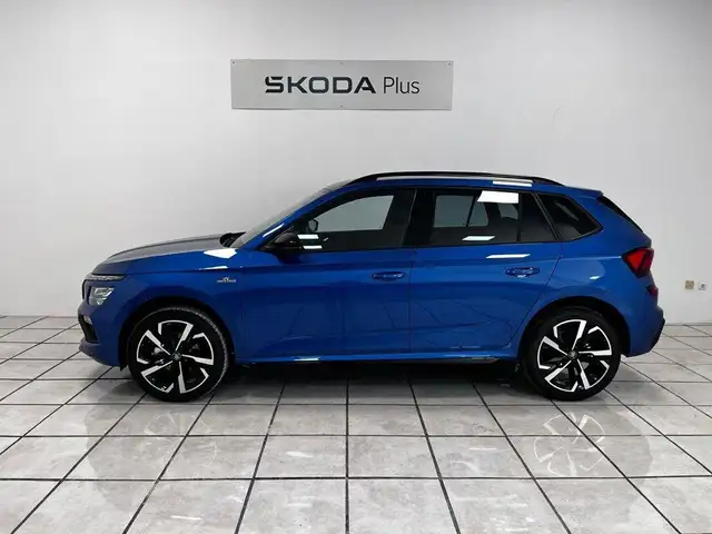 Skoda Kamiq view 10