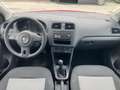 Volkswagen Polo 5p 1.2 Trendline 60cv OK NEOPATENTATO Rosso - thumbnail 13