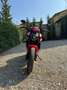 Ducati Monster 937 Rot - thumbnail 2