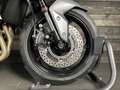 Triumph Tiger Sport 660 Wit - thumbnail 6
