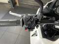 Triumph Tiger Sport 660 Wit - thumbnail 13
