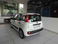 Fiat Panda 1.2 Easy Bianco - thumbnail 4