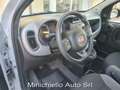 Fiat Panda Panda 1.0 firefly hybrid City Life Grau - thumbnail 8
